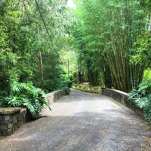 Mango Hill Farm Holiday home
